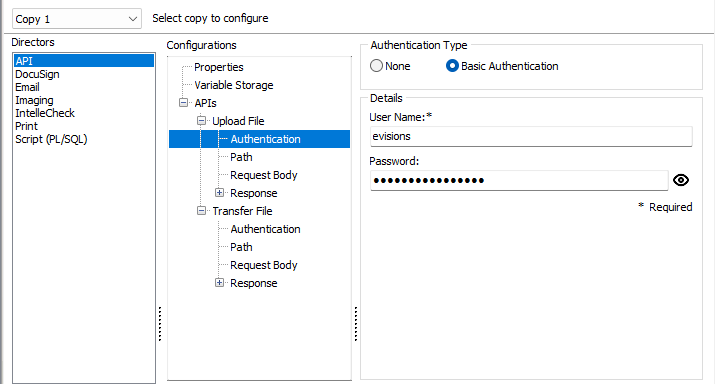 The Authentication screen. Basic Authentication has been selected, requiring a user name and password in order to execute the request.